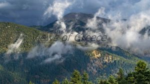 Τα χωριά που ζουν με τα έλατα